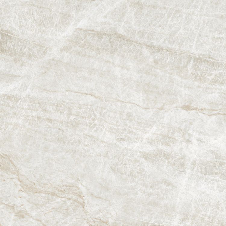 Kraken Polished 48 x 48